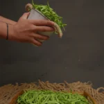 Organic Green Beans